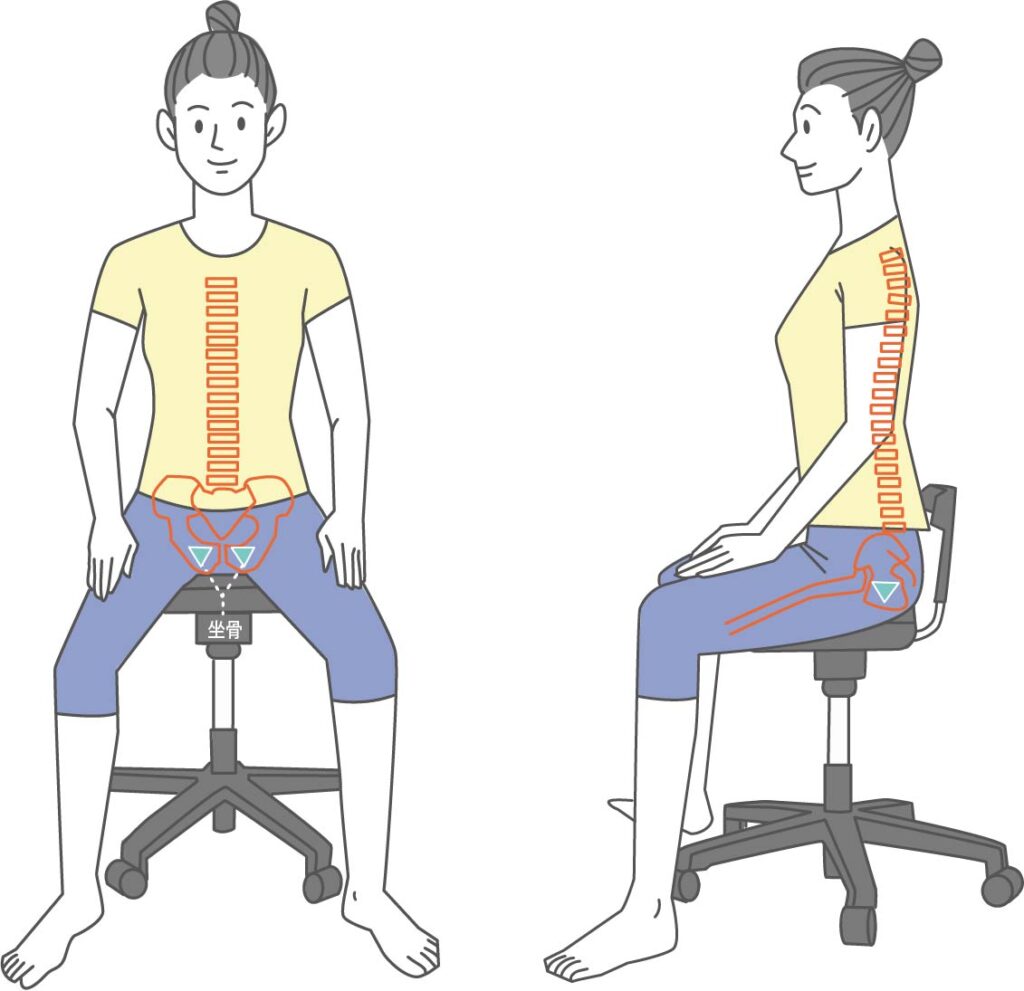 骨盤を立てる座り方の習慣のイメージ