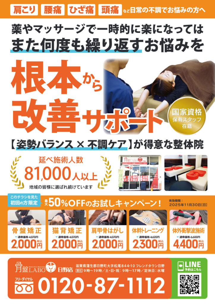 日野11月チラシ